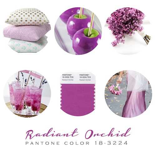 Radiant Orchid